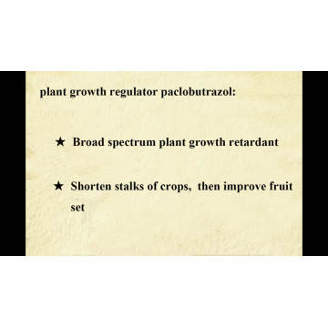 Organic Plant Growth Regulator Bulk Paclobutrazol 95%TC Price